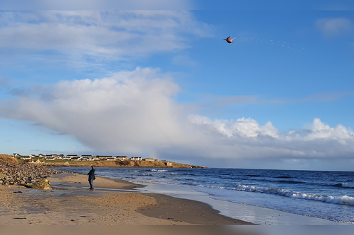 Kite flying on Reiss Beach