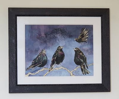 Anna Wright – Starlings